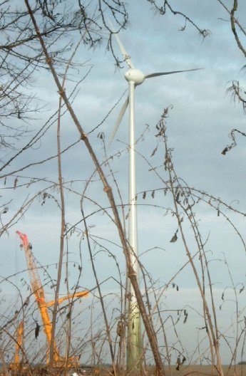 Windmühle